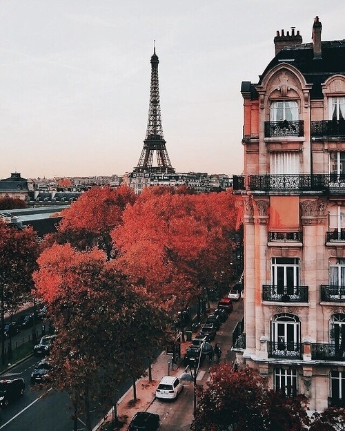 パリの秋の街並み