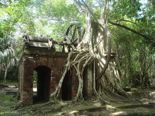 abandonedandurbex:19th Century British Sugarmill, Lamanai,...