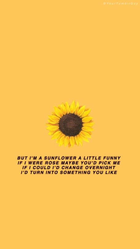 Sunflower Wallpaper Edit