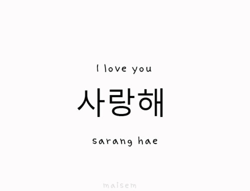 Sarang Hae Tumblr
