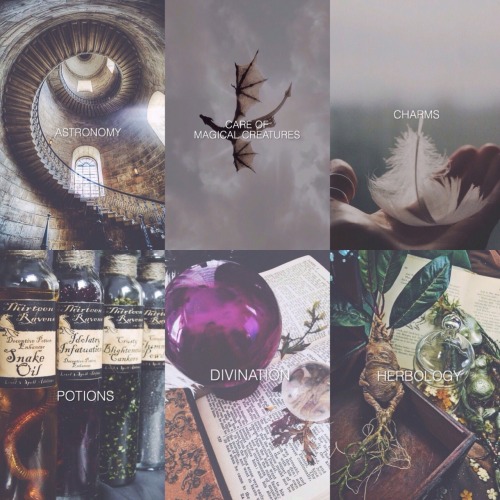 Magic supernatural Harry potter potions herbology divination astronomy charms witchcraft