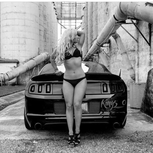 Cars & Girls Heaven