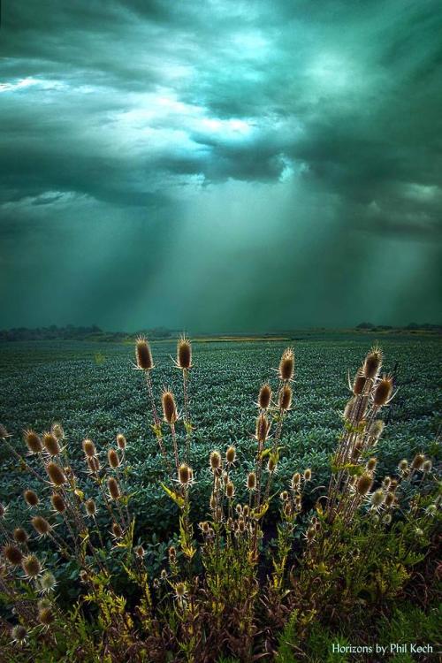 coiour-my-world:“The Storm Before The Calm” | Phil Koch