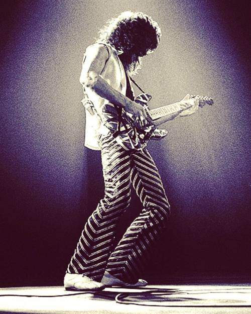 frankenstrat on Tumblr