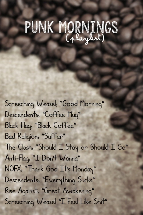 mine playlist punk I HOPE YOU GUYS LIKE THIS good morning btw it& 039;s the afternoon whatever screeching weasel descendents black flag bad religion the clash anti-flag NOFX rise against