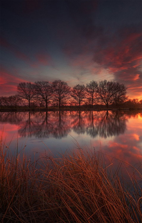 letslookingattheworldstuff:March in France