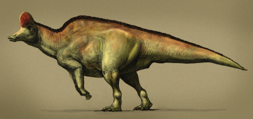 corythosaurus dinosaur with crest on head