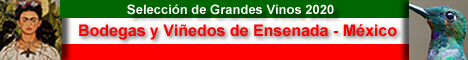 Banner Ensenada