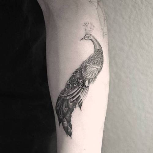 By Kane Navasard, done in Los Angeles. http://ttoo.co/p/26146 kanenavasard;single needle;peacock;animal;bird;facebook;forearm;twitter;medium size