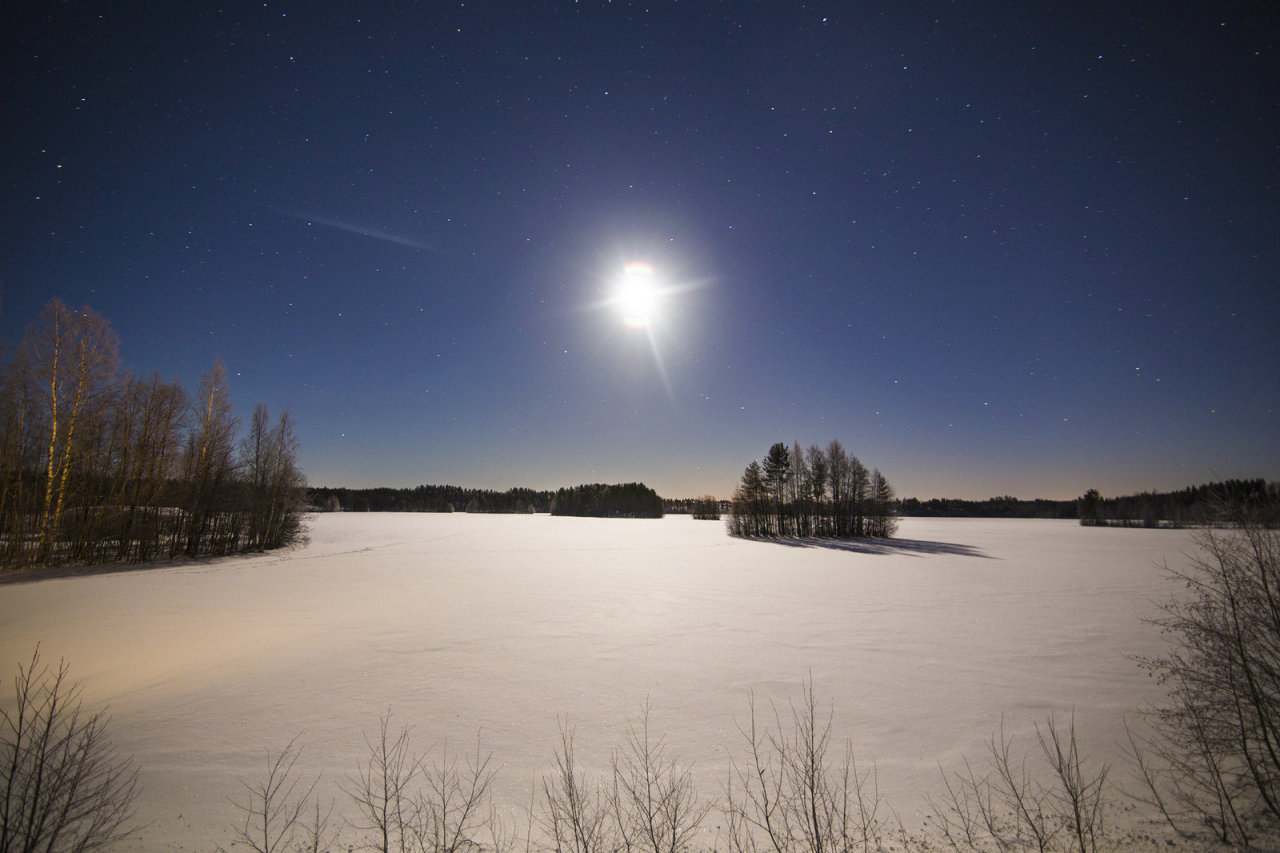 MilaMai Photography - Moon Worshippers by MilaMai