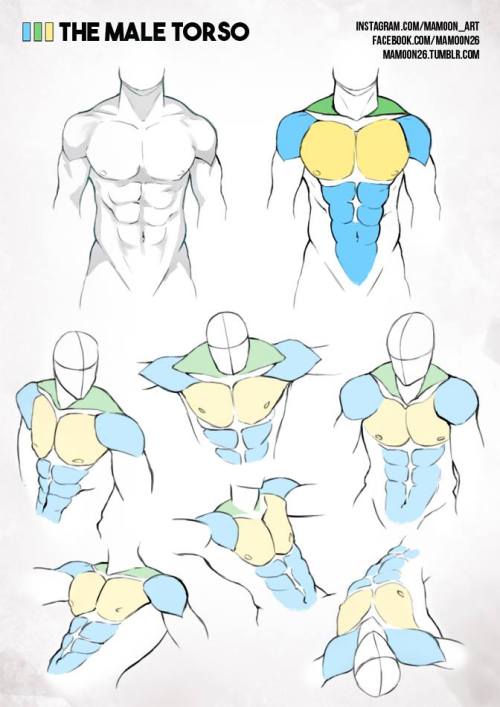 anatoref:Simplified Anatomy by Mamoon26