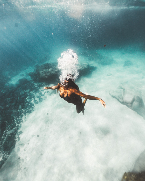 Underwater Photography On Tumblr