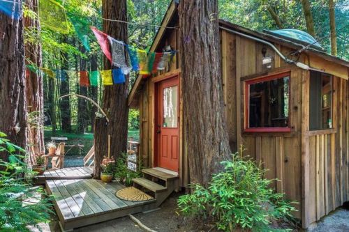 utwo:Tiny Creekside Cabin© brian mccloud