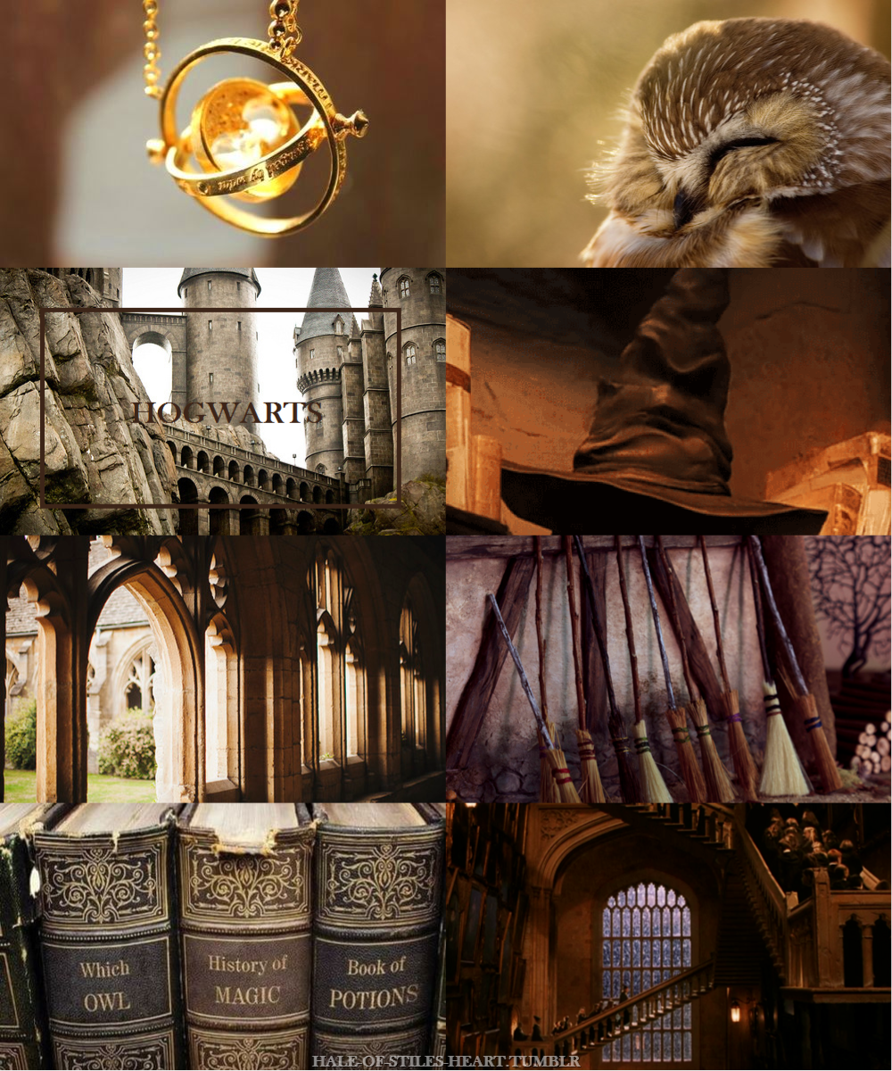 Hogwarts school of witchcraft and wizardry где находится