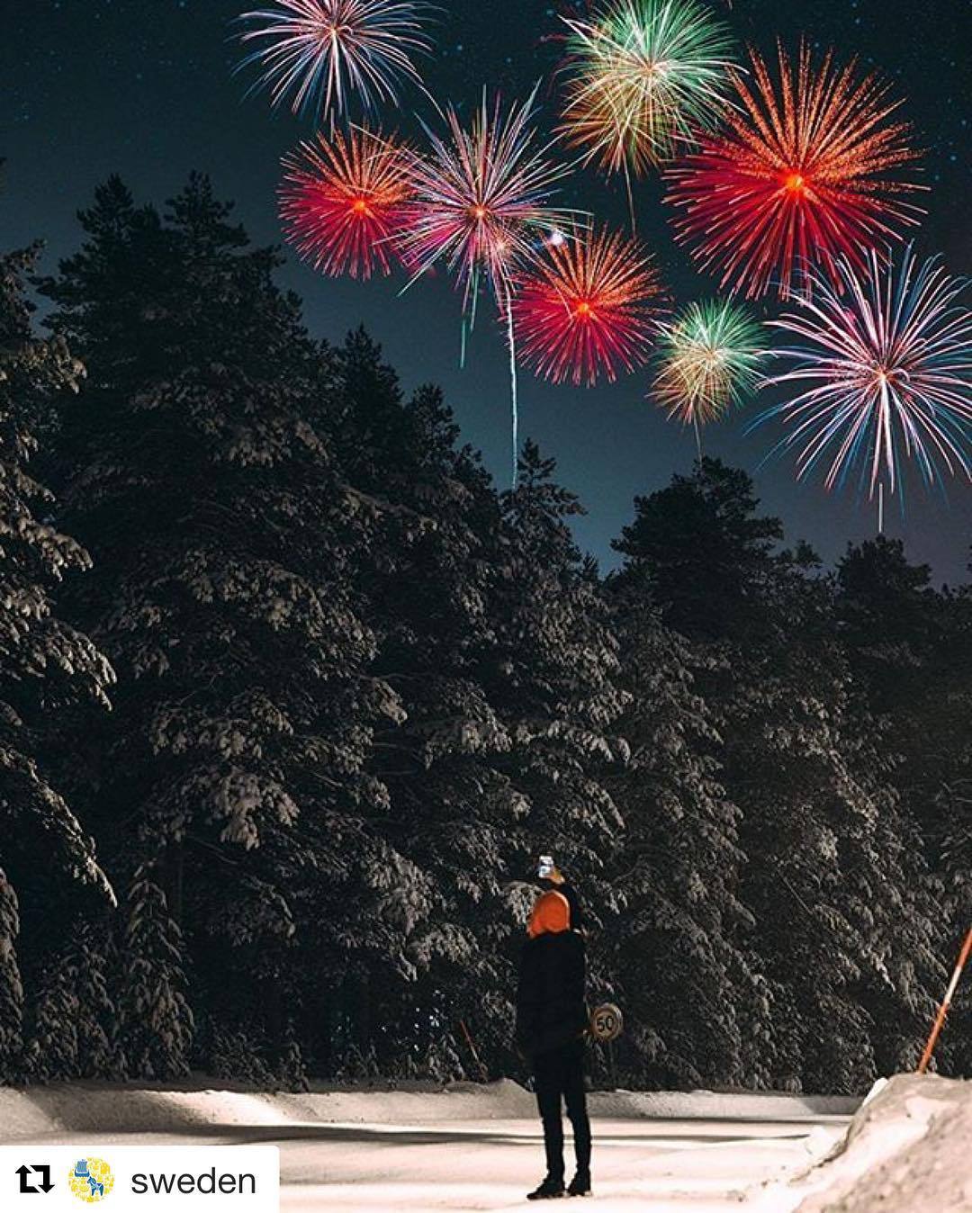 New Years Foliage >> Foliage And Frost New Years Foliage >> Foliage And Frost