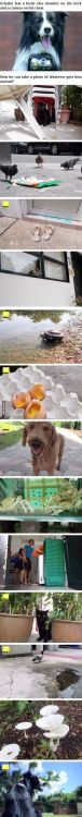 cuteeanimalsee