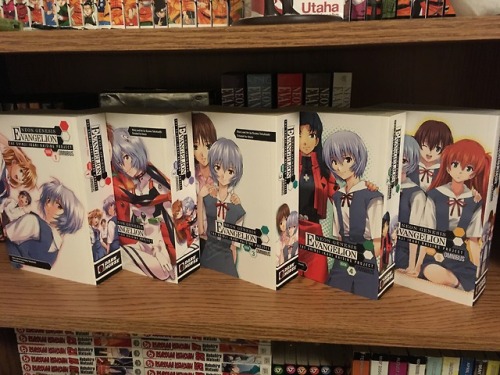 mistercolor18:my NGE collection My dream collection