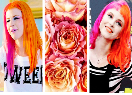Hayley Williams Pink Hair Tumblr