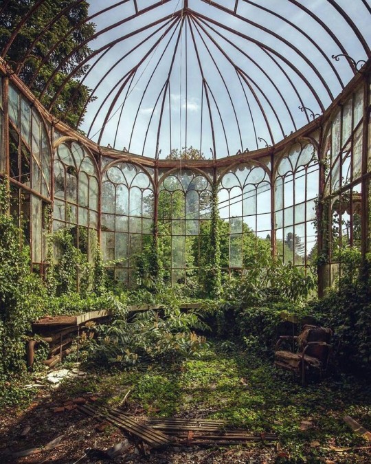 abandoned mansion on Tumblr