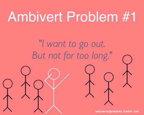 introvertunites:Ambiverts are individuals who associate...