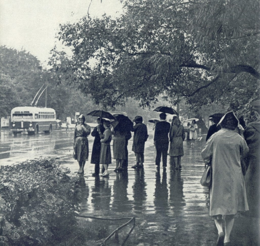 Rain in Leningrad (1969)