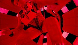 the shining a clockwork orange 2001: a space odyssey eyes wide shut spartacus full metal jacket barry lyndon Stanley Kubrick filmedit film* useralex userrobin jakegyllenhaals gifscinema userangela myposts gerwigsgreta userel eggogorgon userbrittany userlauri 1k