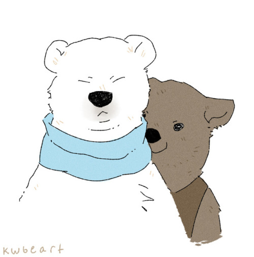 boy polar bear | Tumblr