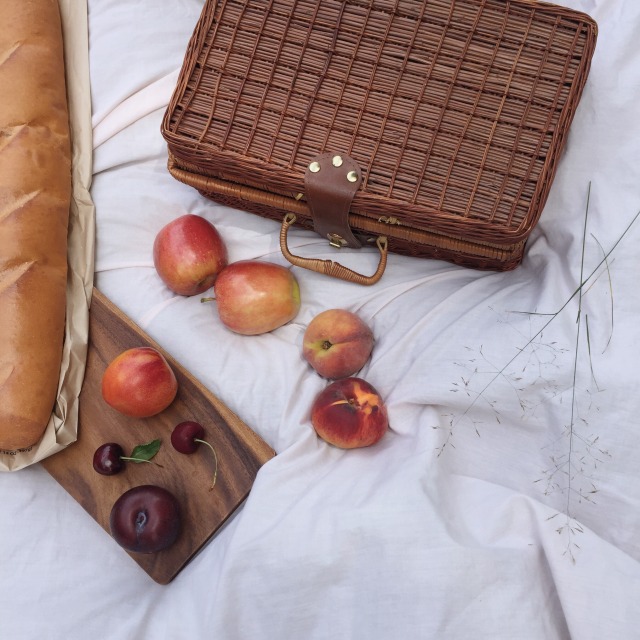 prada picnic basket