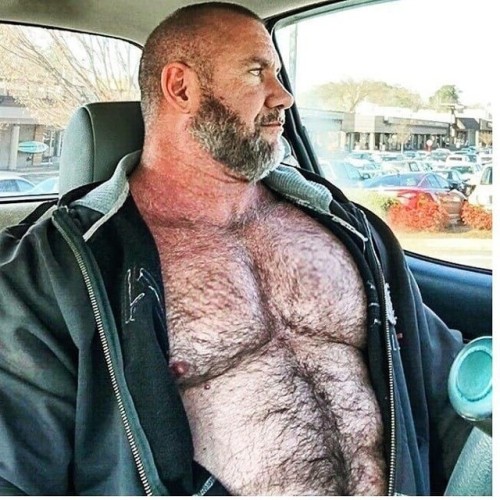 There’s a big bear in the car…