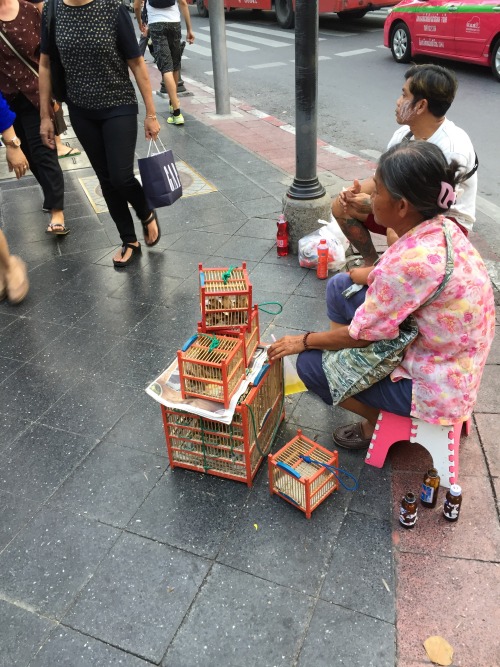 24th Oct 2015In Bangkok, we visited Wat pho which is famous...