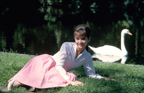 Audrey Hepburn Bob Willoughby Paris When it Sizzles 1962 1960s