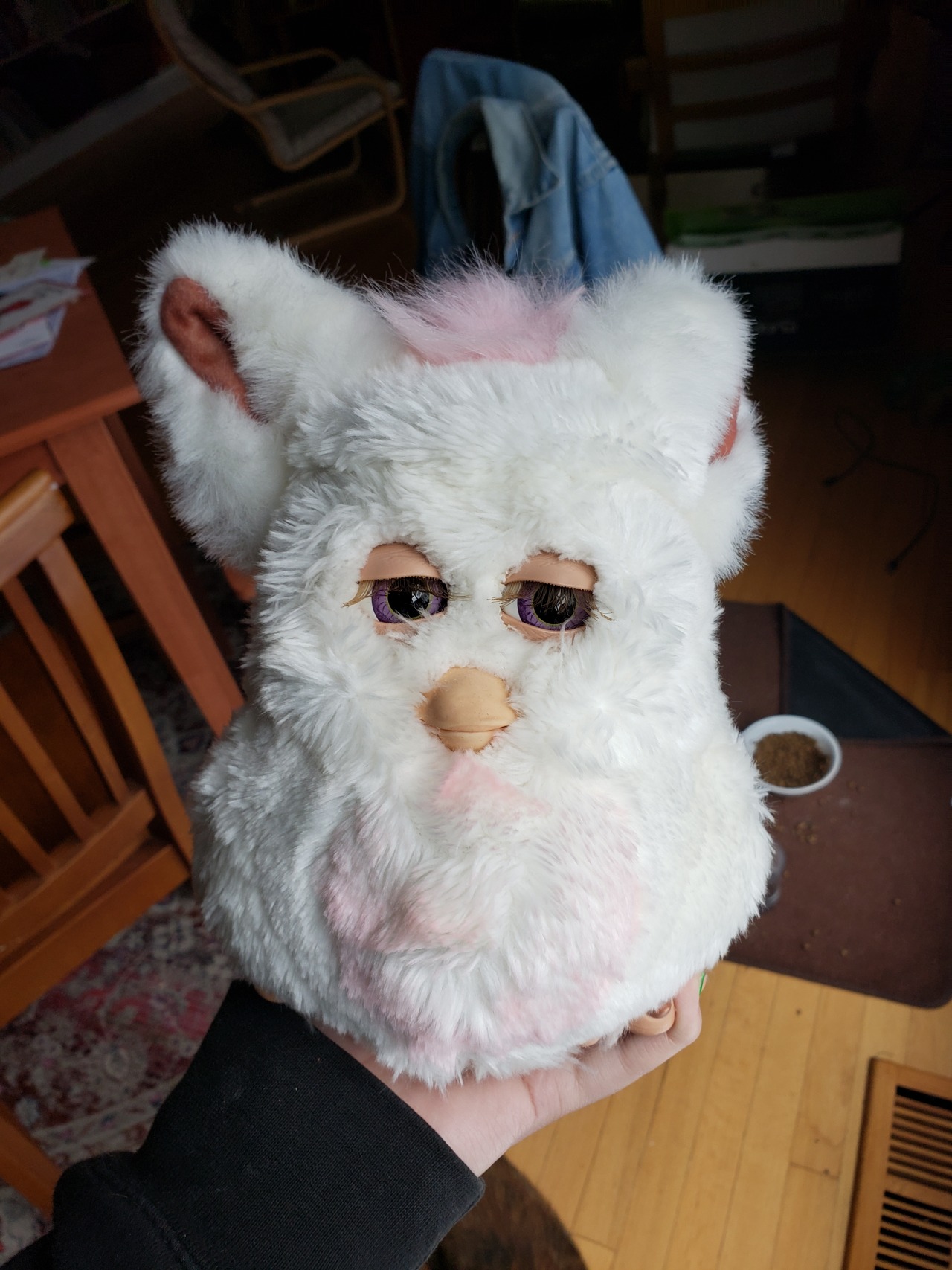 05 furby