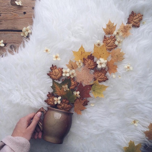 mymodernmet:Toppled Teacups Overflow with Dried Leaves and...