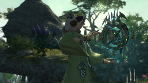 ffxiv screenshot editor ffxiv screenshot editor