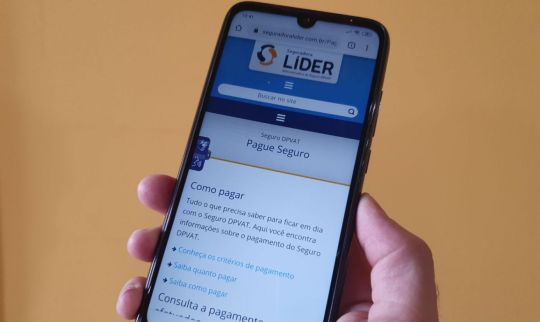 seguradora lider como pagar dpvat 1