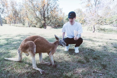 actualbrendonurie:panicatthedisco: Went and hung out with...