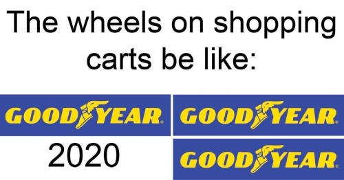 icebreaker-memesdaily