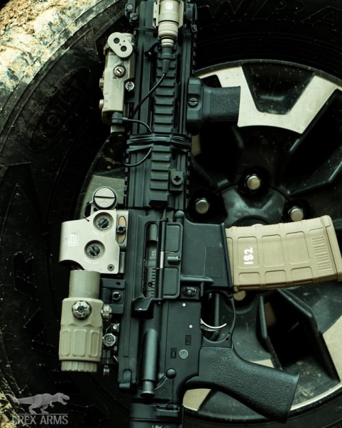 trexarmskydex:416 chilling at the range. When it’s fully...