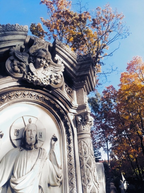 frankensteinsbrides:October vibes. The Old Donskoye Cemetery...