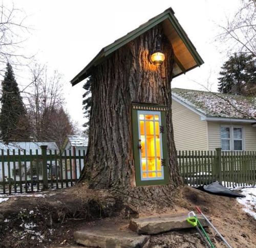 itscolossal:Little Tree Library: A Clever Twist on the...