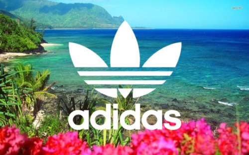 Tumblr Background Adidas Wallpaper - adidas colorful logo 5 15963 hd screensavers hd im roblox