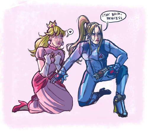 The Art Is On Zero Suit Samus And Not Link Tumblr 8902