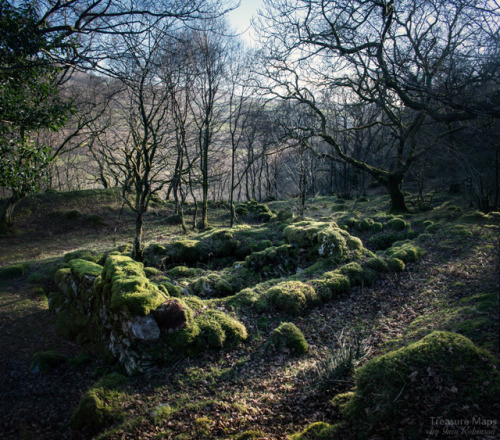 thefierybiscuit:The remains of the Gilfach mine