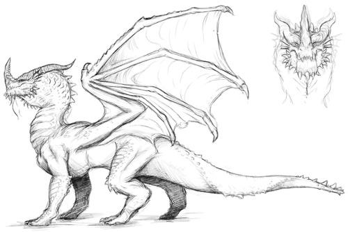 space-dragon14:improvingedit- i got a wingless version that i...