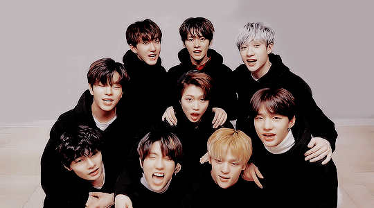 Stray Kids Nomu Trees Stray Kids Nomu Trees