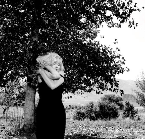 summers-in-hollywood:Marilyn Monroe filming The Misfits, 1960....