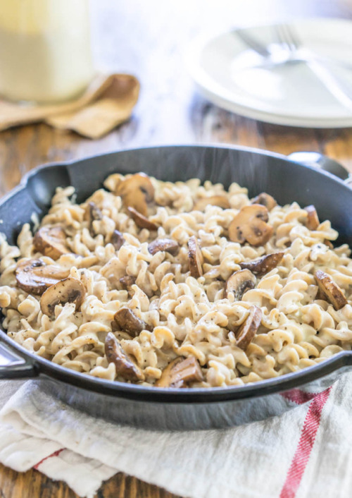 fusilli-alfredo-with-mushrooms