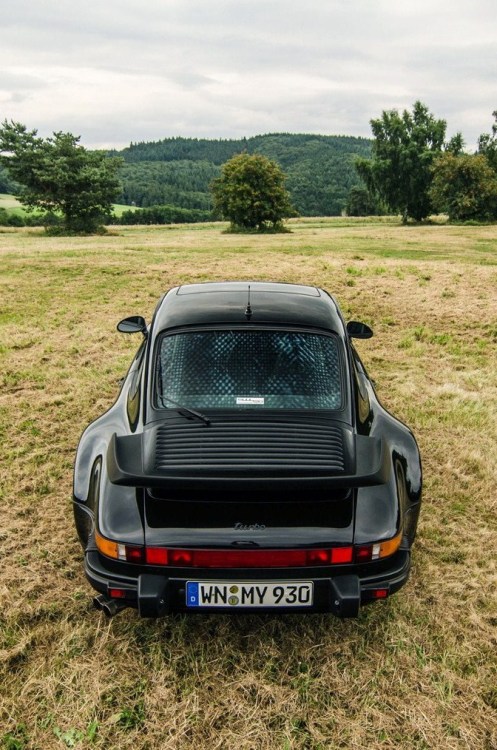 myheartpumpspetrol:930 Turbo | Source