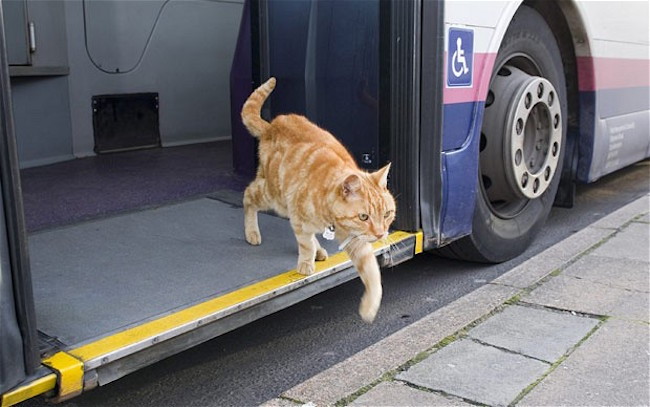 Waiting at the bus stop