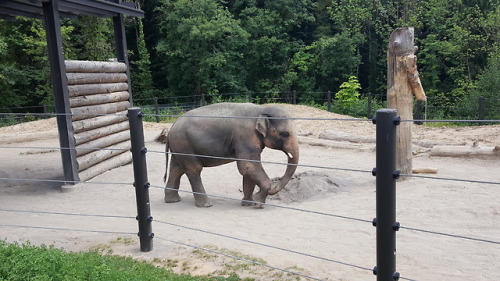 @Portland Zoo